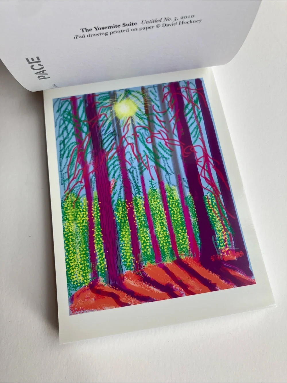 David Hockney: The Yosemite Suite - Postcard book